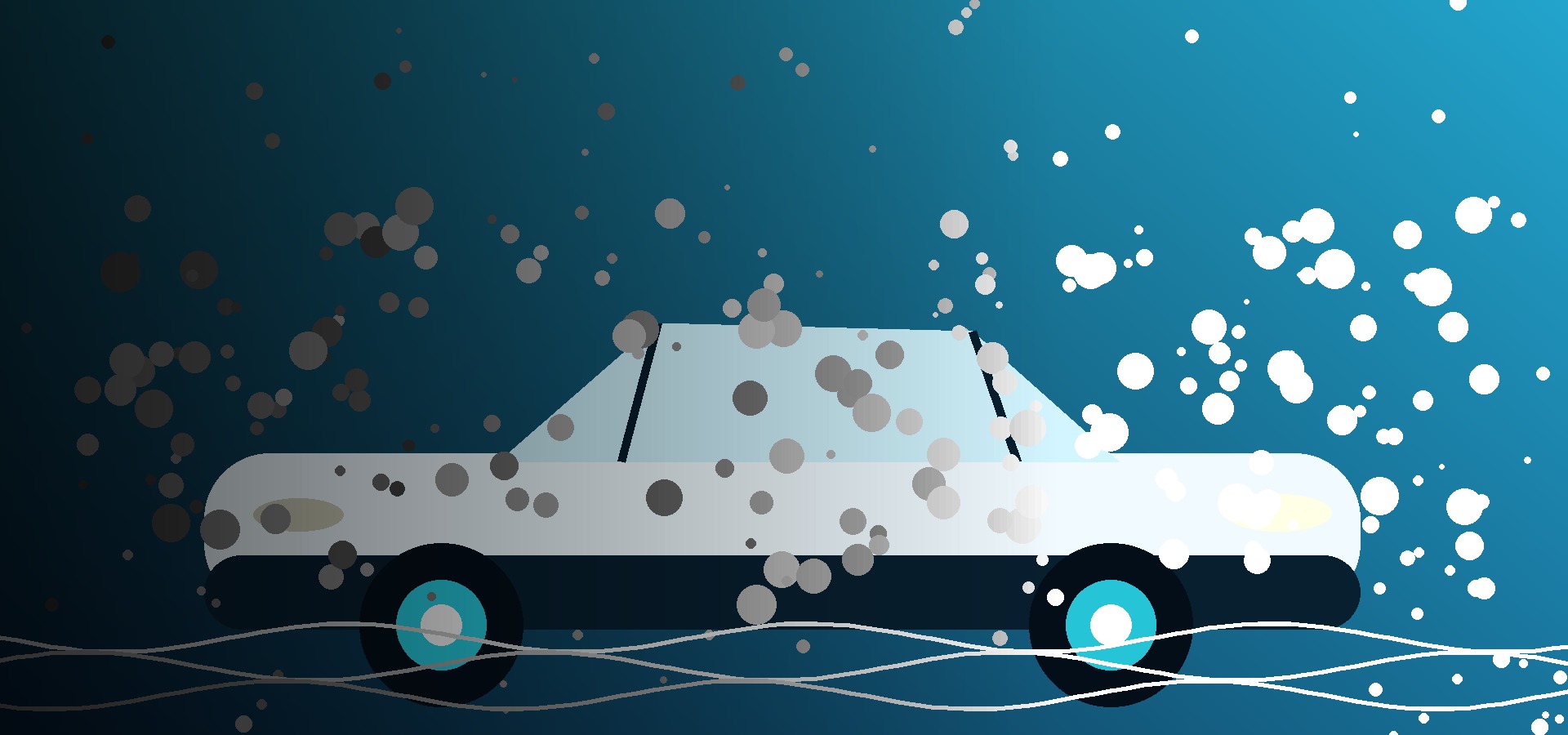 Professional vehicle and cleaning services